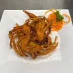 Fried Spider App